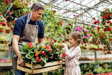 Man with his daughter showing her red flowers in a flower box in a greenhouse.